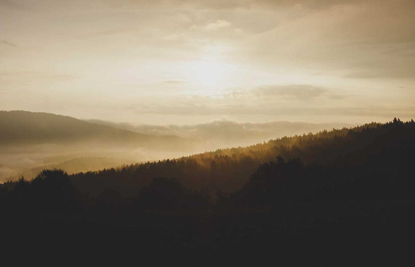 Профессиональная команда уборщиков за работой