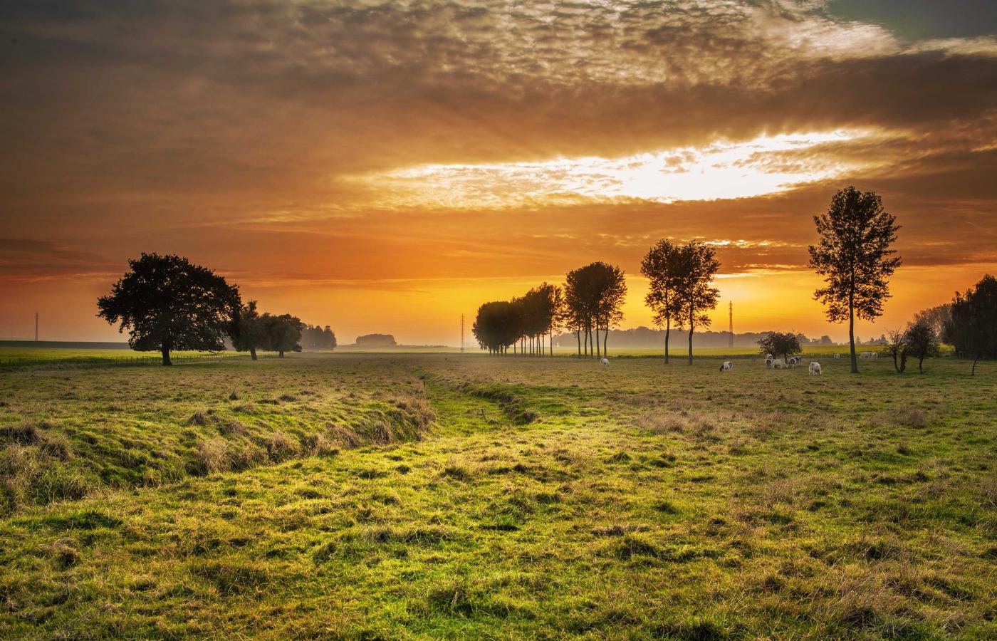 Фотография клиента